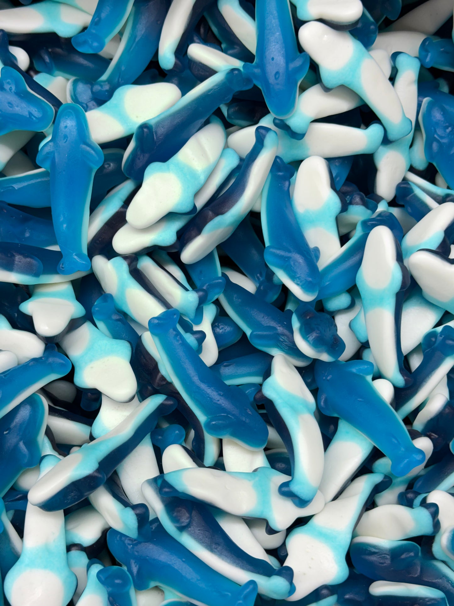 Sweet Dolphines
