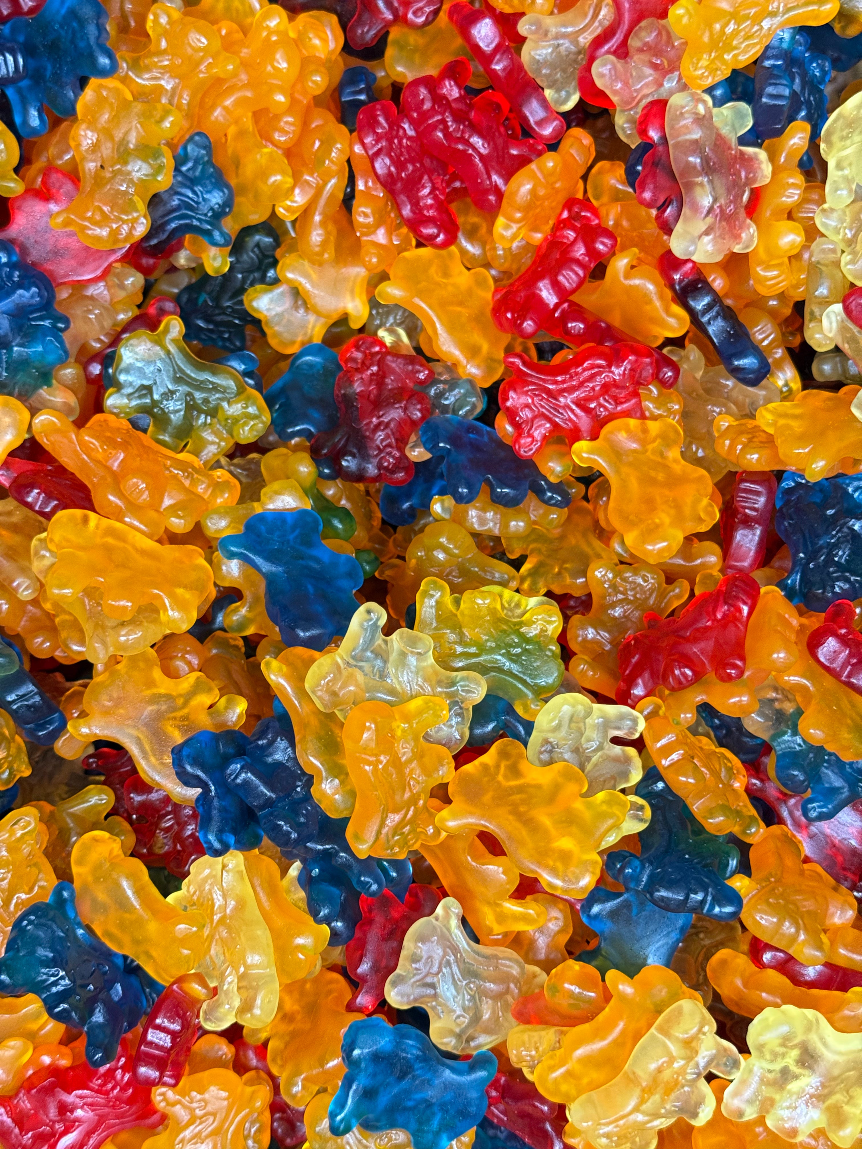 Zoete Hollandse Leeuwen