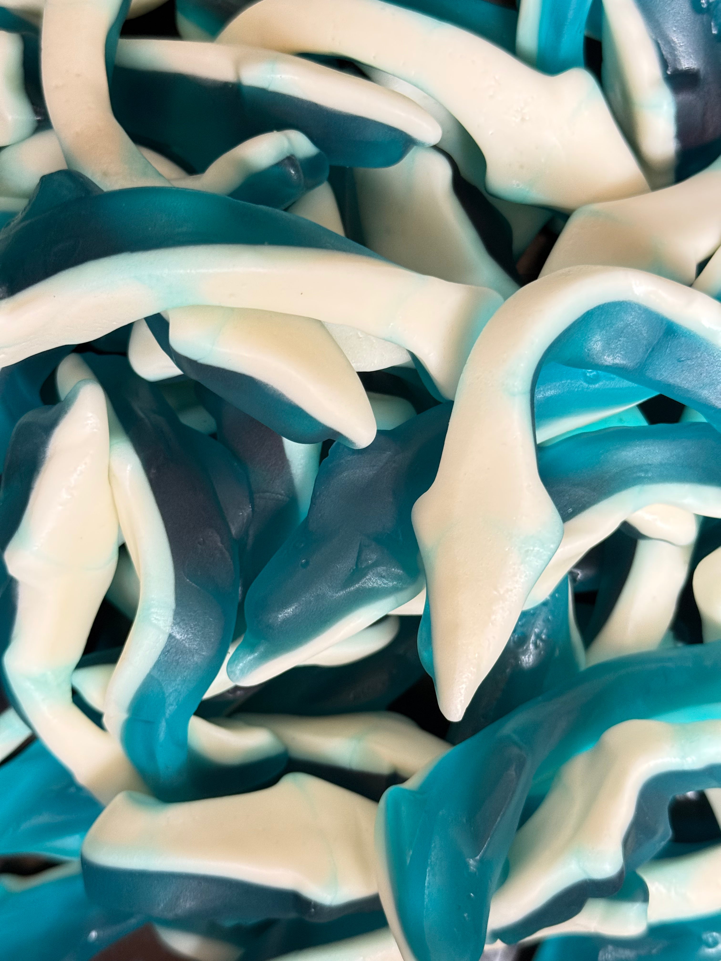 Snwy Sweet Dolphines